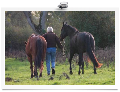 "Walking hand-in-hand" (Photo: A. Ingham 2006)