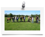 "Parelli Natural Horsemanship Clinic August 2011 (Photo: Mike Crabbe)."